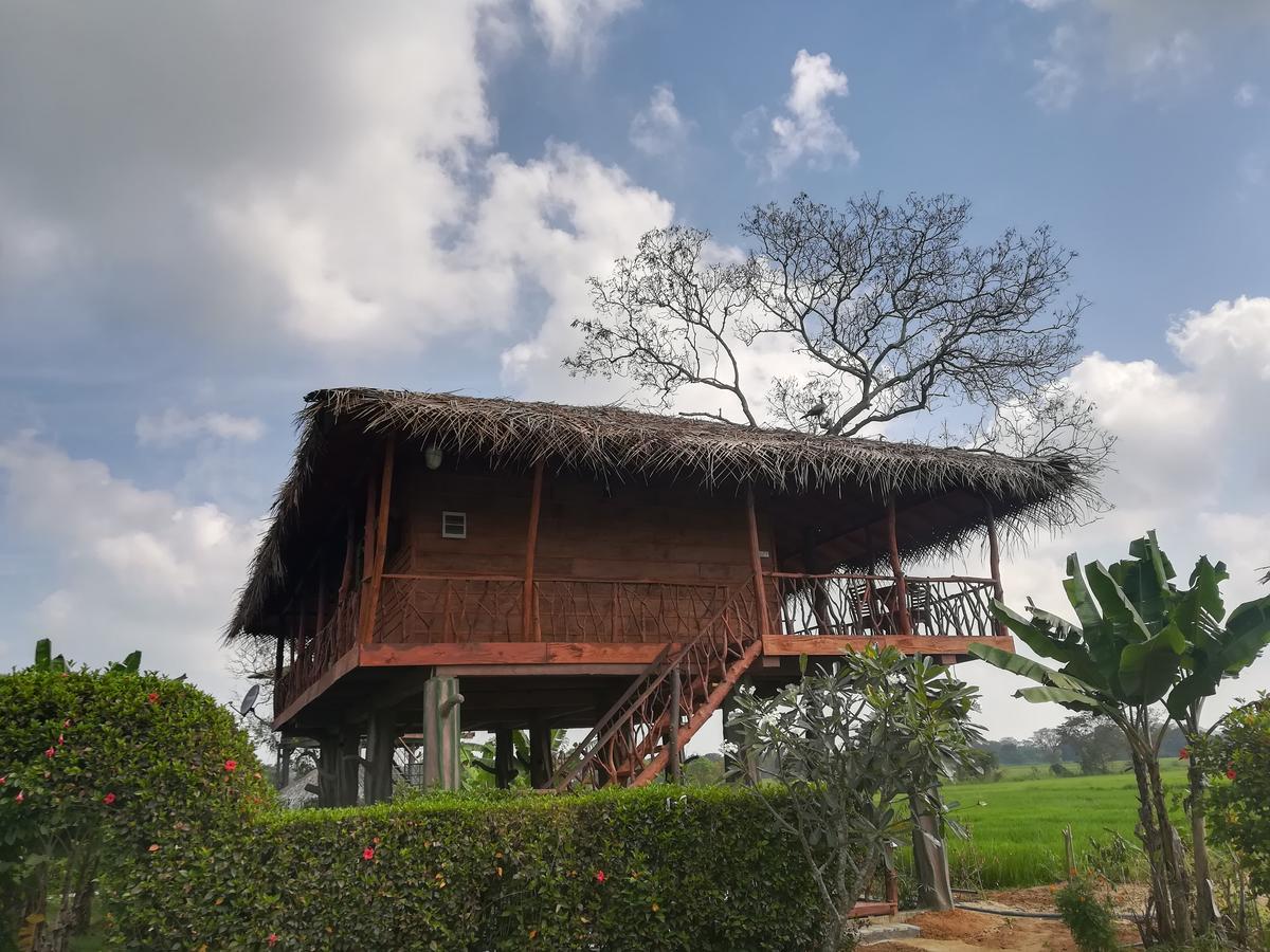 The Hideout Sigiriya Villa Exterior photo